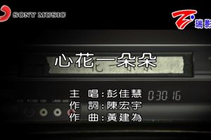 [2017][内地][国语-MV][彭佳慧-心花一朵朵][MPG][598MB][百度网盘]