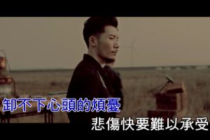 [2017][内地][国语-MV][三十万年老虎钳-沙漠][MPG][500MB][百度网盘]