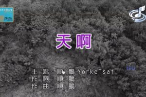 [2017][内地][国语-MV][顺鹏-天啊][MPG][523MB][百度网盘]