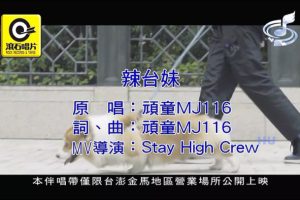 [2017][内地][国语-MV][顽童MJ116-辣台妹][MPG][234MB][百度网盘]