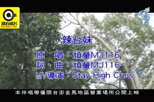 [2017][内地][国语-MV][顽童MJ116-辣台妹][MPG][552MB][百度网盘]