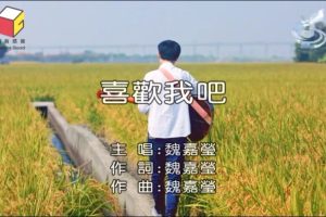 [2017][内地][国语-MV][魏嘉莹-喜欢我吧][MPG][207MB][百度网盘]