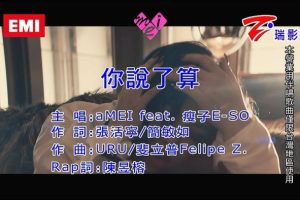 [2017][内地][国语-MV][张惠妹&瘦子E-SO-你说了算][MPG][207MB][百度网盘]