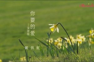 [2018][内地][国语-MV][戴佩妮-你要的爱(深夜版)][MPG][213MB][百度网盘]