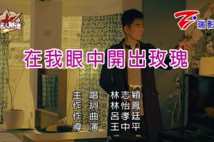 [2018][内地][国语-MV][林志颖-在我眼中开出玫瑰][MPG][196MB][百度网盘]