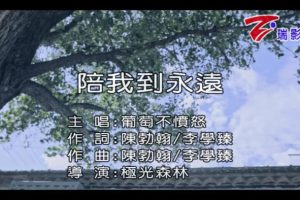 [2018][内地][国语-MV][葡萄不愤怒-陪我到永远][MPG][182MB][百度网盘]