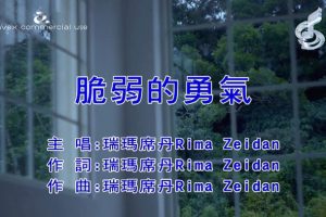 [2018][内地][国语-MV][瑞玛席丹-脆弱的勇气][MPG][105MB][百度网盘]