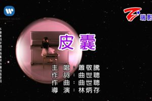 [2018][内地][国语-MV][萧敬腾-皮囊][MPG][774MB][百度网盘]