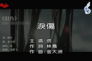 [2018][内地][国语-MV][信-泪伤][MPG][107MB][百度网盘]