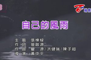 [2018][内地][国语-MV][张栋梁-自己的风雨][MPG][112MB][百度网盘]