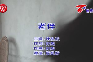 [2019][内地][国语-MV][陈凯欣-老伴][MPG][132MB][百度网盘]