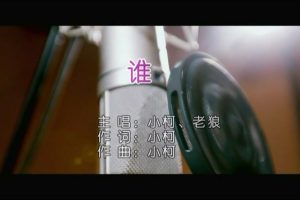 [2019][内地][国语-MV][小柯&老狼 – 谁][MPG][174MB][百度网盘]