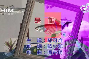 [2019][内地][国语-MV][郁可唯-是谁][MPG][255MB][百度网盘]