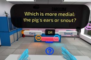 VR游戏《解剖猪 Pig Dissection-Quest》[英文][1.06GB][百度网盘]