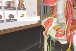 VR游戏《人体解剖学 3D Organon VR Anatomy [2021.0.9]》[英文/中文][1.25GB][百度网盘]