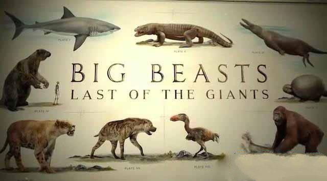 纪录片《终极巨兽档案 Big Beasts: Last of the Giants》[TS/蓝光][全3集][9.09G][百度网盘]