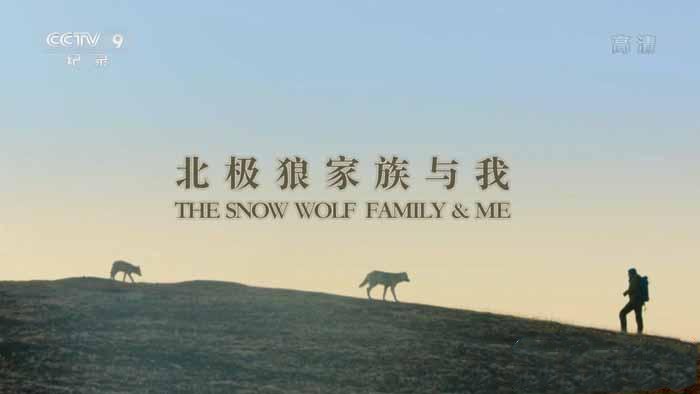 纪录片《北极狼家族与我 Snow Wolf Family and Me》[TS/蓝光][全3集中字][10.24G][百度网盘]