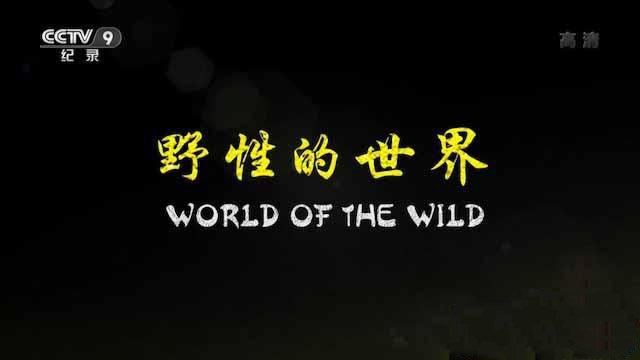 纪录片《野性的世界 World of the Wild》[TS/蓝光][全6集中字][18.39G][百度网盘]