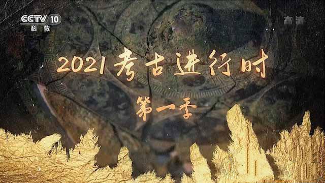 纪录片《2021考古进行时》[TS/蓝光][第1季][百度网盘]