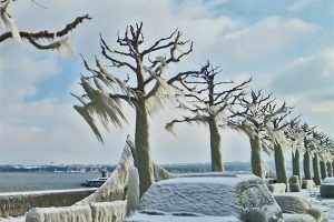 [自然百科]《自然界最怪异的事件 Natures Weirdest Events》[MP3下载][全2集/英语版][1.22G][百度网盘]
