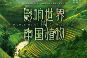 [自然百科]《影响世界的中国植物》[1080P/MP3下载][全10集/国语版][8.9G][百度网盘]