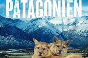 [自然百科]《野性巴塔哥尼亚 Wild Patagonia》[720P/MP3下载][全3集/中英双语中字][1.03G][百度网盘]