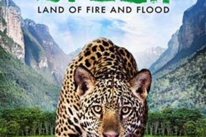 [自然百科]《野性巴西 Wild Brazil》[1080P/MP3下载][全3集/英语版][8.27G][百度网盘]