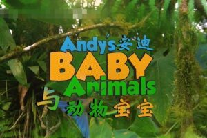 [自然百科]《安迪的动物宝宝 Andy’s Baby Animals》[1080P/MP3下载][全20集/国语中字][2.13G][百度网盘]