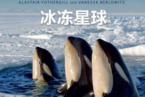 [自然百科]《冰冻星球 Frozen Planet》[720P/MP3下载][全8集/国语中英双字][21G][百度网盘]