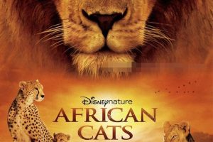 [自然百科]《非洲猫科 African Cats》[1080P/MP3下载][全1集/英语中英双字][9.24G][百度网盘]