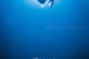 [自然百科]《海洋 Oceans》[1080P/MP3下载][全1集/英语英字][7.94G][百度网盘]