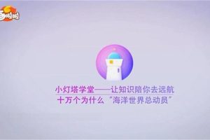 [自然百科]《海底世界总动员》[高清/MP3下载][全10集/国语中字][826M][百度网盘]