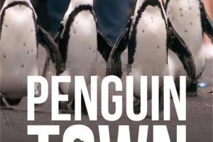 [自然百科]《企鹅小镇 Penguin Town》[1080P/MP3下载][全8集/国语中英双字][7.20G][百度网盘]