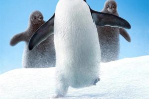 [自然百科]《企鹅 Penguins》[1080P/MP3下载][全1集/国语中英双字][2.33G][百度网盘]