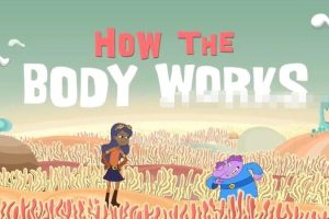 [自然百科]《你的身体是如何工作的 How your body work》[720P/MP3下载][全18集/英语版][367M][百度网盘]