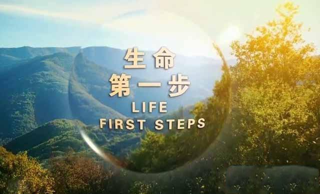 纪录片《生命第一步 Life First Steps》[TS/蓝光][全3集中字][百度网盘]