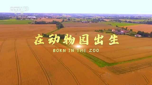 纪录片《在动物园出生 Born in the Zoo》[TS/蓝光][全1集中字][百度网盘]