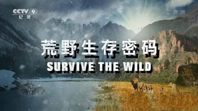 纪录片《荒野生存密码 Survive the Wild》[TS/蓝光][全6集中字][百度网盘]