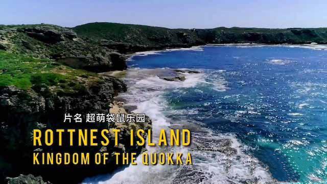 纪录片《洛特尼斯岛：短尾矮袋鼠的王国 Rottnest Island：Kingdom Of The Quokka》[TS/蓝光][全2集中字][百度网盘]