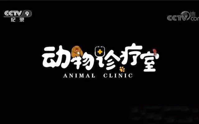 纪录片《动物诊疗室 Animal Clinic》[TS/蓝光][全5集][百度网盘]