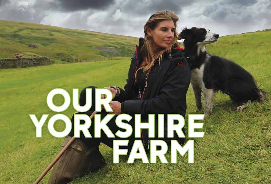 纪录片《约克郡农场 Our Yorkshire Farm》[1080P/MKV][第1季全4集 英语无字 官方纯净版][12.4G][百度网盘]