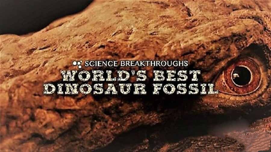 纪录片《世界上最好的恐龙化石 World’s Best Dinosaur Fossil》[720P/MP4][英语无字][501M][百度网盘]