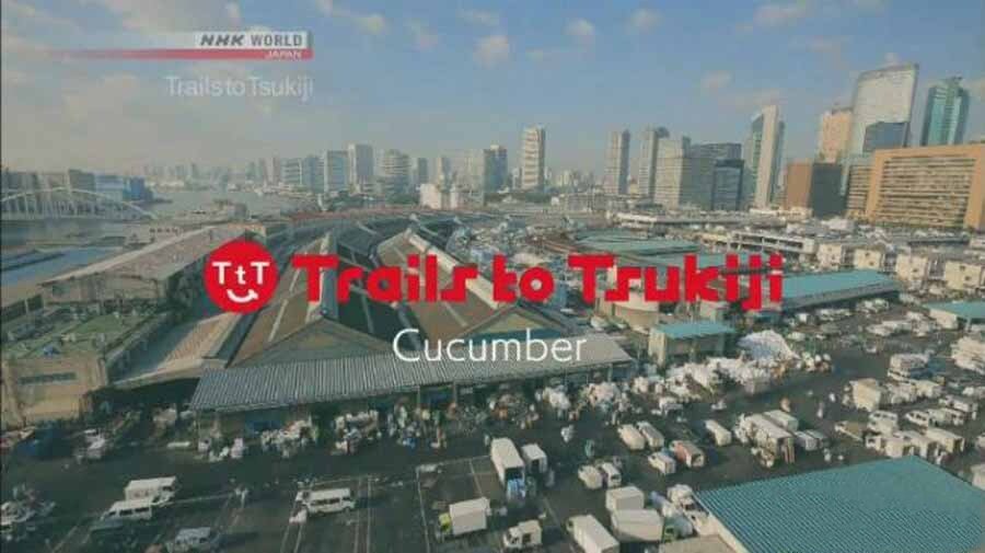 纪录片《筑地足迹—黄瓜 Trails to Tsukiji-Cucumber 2017》[720P/MP4][英语无字][455M][百度网盘]