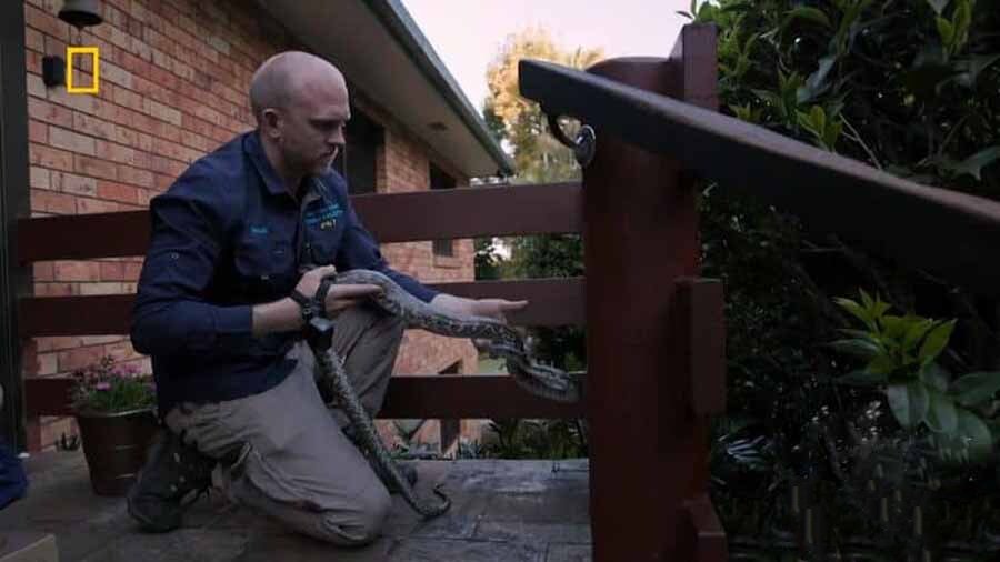 纪录片《澳大利亚捕蛇人 Aussie Snake Wranglers 2022》[1080P/MKV][第2季全12集 英语无字][11G][百度网盘]