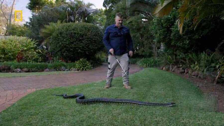 纪录片《澳大利亚捕蛇人 Aussie Snake Wranglers 2022》[1080P/MKV][第1季全16集 英语无字][16.7G][百度网盘]