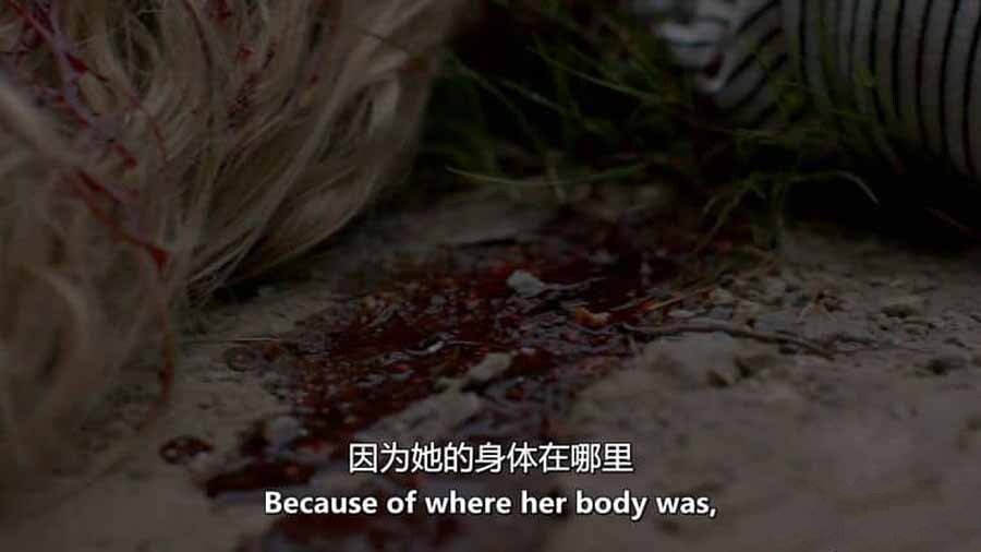 纪录片《魔鬼住在这：死亡阴影 Evil Lives Here: Shadows of Death 2022》[1080P/MKV][第4季 英语中英双字 官方纯净版][8.36G][百度网盘]