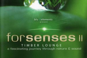 [BD蓝光演示碟][Forsenses II – Timber Lounge 2011][BDMV][17.5GB][百度网盘]