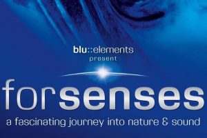 [BD蓝光演示碟][Forsenses – A Fascinating Journey into Nature & Sound 2009][BDMV][14.3GB][百度网盘]