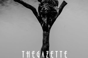 [BD日本演唱会][the GazettE – the GazettE LIVE TOUR 13-14 [MAGNIFICENT MALFORMED BOX] FINAL CODA LIVE AT 01.11 YOKOHAMA ARENA 2014][BDISO][34.8GB][百度网盘]