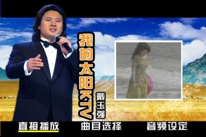 [DVD大陆演唱会][戴玉强 – 我的太阳][KTV][DVD ISO][3.58G][百度网盘]